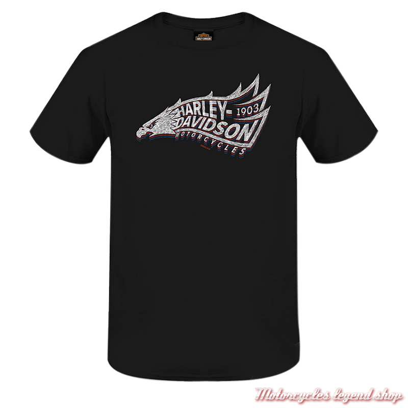 Tee-shirt Defiant Harley-Davidson homme, noir, manches courtes, coton, Cornouaille Moto Quimper Bretagne, 3000927