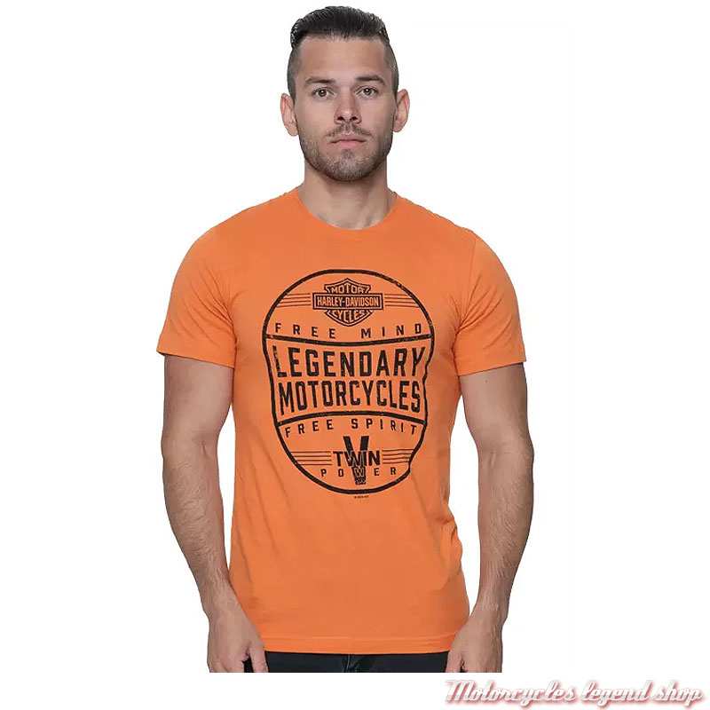 Tee-shirt Label Spirit Harley-Davidson homme, Cornouaille Moto Quimper Bretagne, orange, manches courtes, coton, 40291591