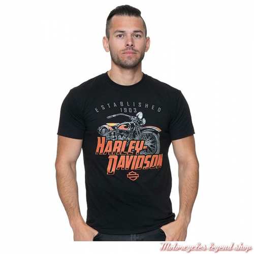 Tee-shirt Fateful Harley-Davidson homme