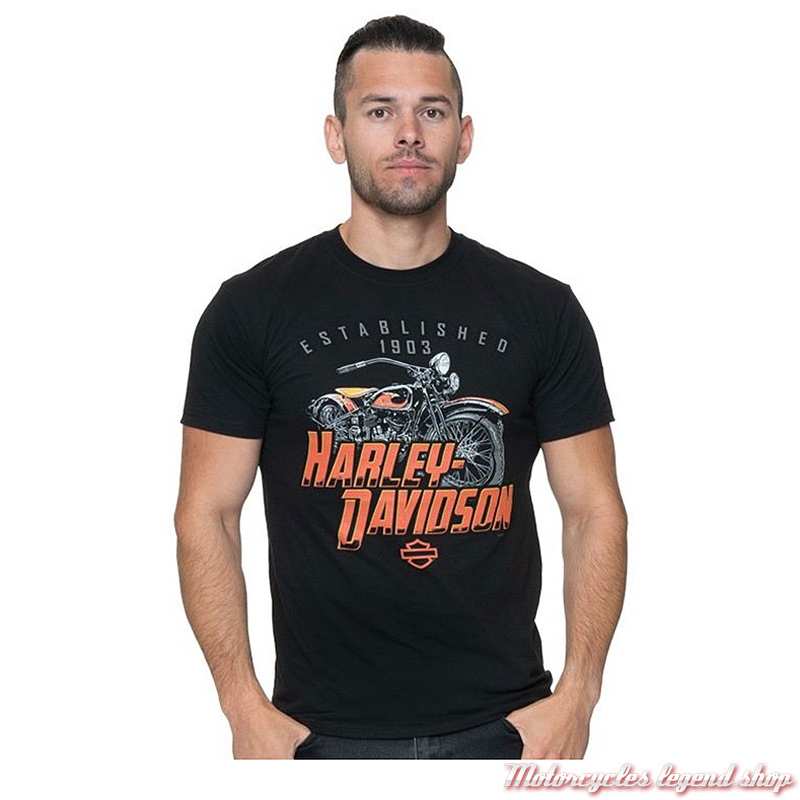 Tee-shirt Fateful Harley-Davidson homme, Cornouaille Moto Quimper Bretagne, noir, manches courtes, coton, 40291592