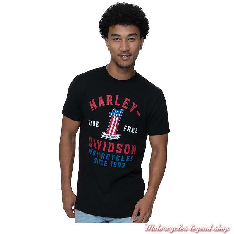 Tee-shirt Partake Harley-Davidson homme, Cornouaille Moto Quimper Bretagne, noir, manches courtes, coton, 40291599