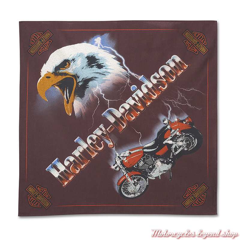 Bandana Eagle Rider Sassafras Harley-Davidson, coton, 55 x 55 cm, 97622-25VX