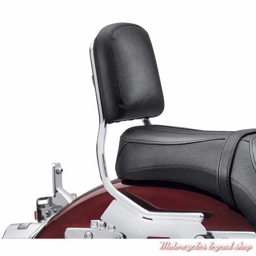 Dosseret passager Medium Harley-Davidson pour Sissy Bar HoldFast, visuel, 52300560