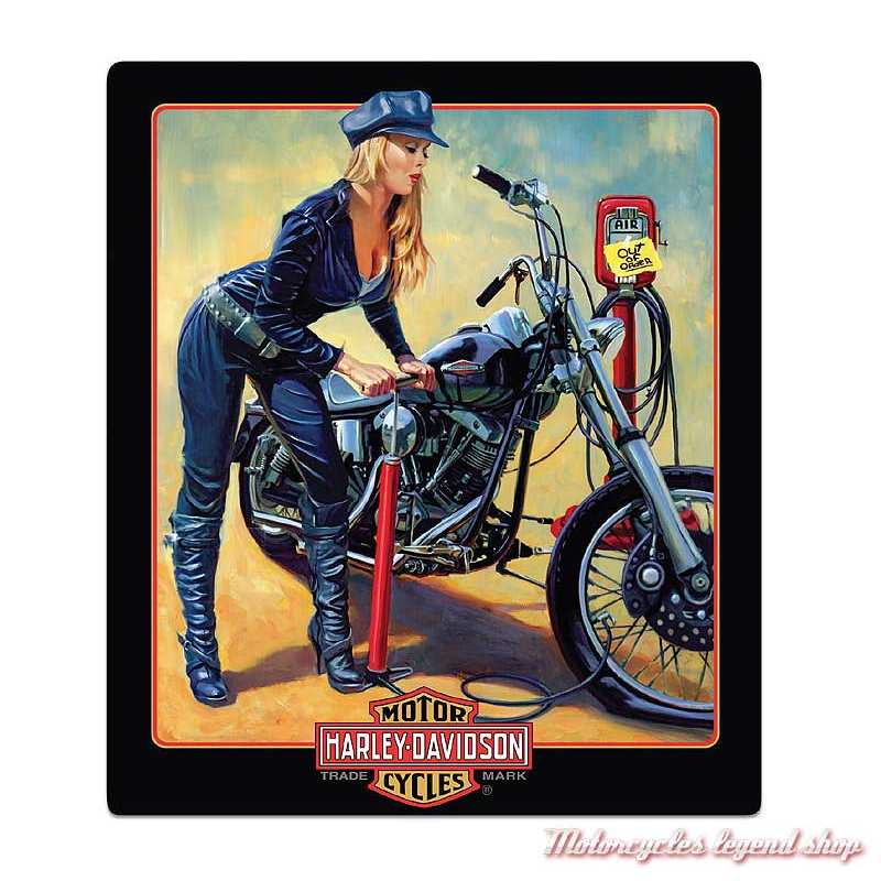 Plaque Metal Pumper Up Babe Harley Davidson Motorcycles Legend Shop